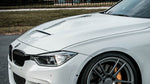 BMW F30 3 Series CS/GTS Style Aluminum Hood (Vent Included)